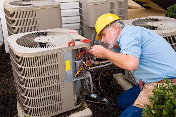 Best HVAC air duct cleaning  in Rock Valley, IA